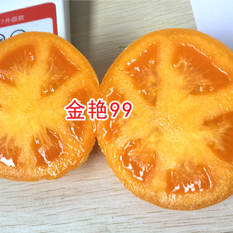 黄柿子种子金艳99大黄番茄种籽精品西红柿种孑北蔬农业