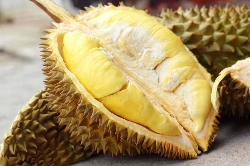 【精选】金枕头榴莲一件代发坏果包赔大量现货可对接各大平台