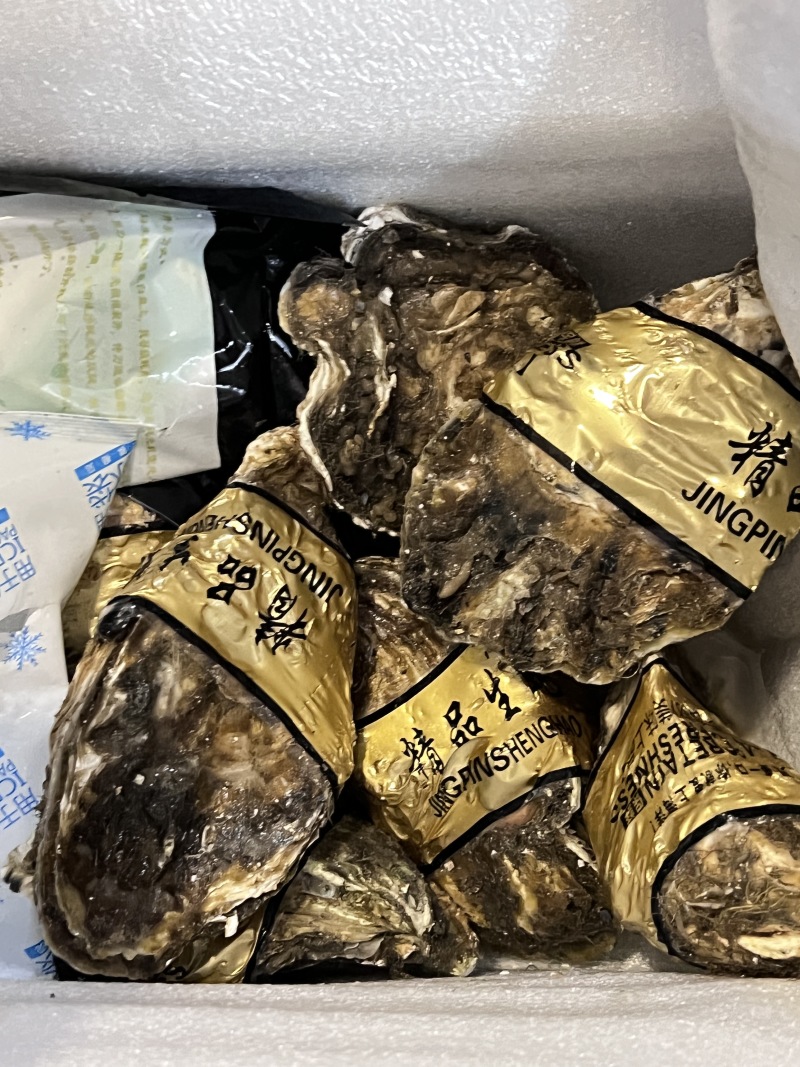 大连乳山生蚝现捞现卖常年有货肥度饱满规格齐全全国代发