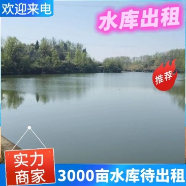 青龙洞小一型小二型水库对外出租，租期5年，逐年缴纳租金