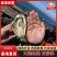 大连乳山生蚝现捞现卖常年有货肥度饱满规格齐全全国代发