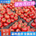 硬粉西红柿/大棚沙瓤/品种齐全弧二弧三/产地大量上货中
