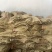 条厂家生产资质齐全支持在线交易全国包邮口感软糯可定制包装