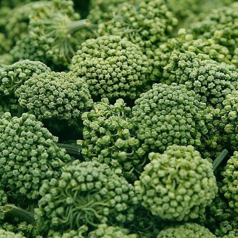 三七花