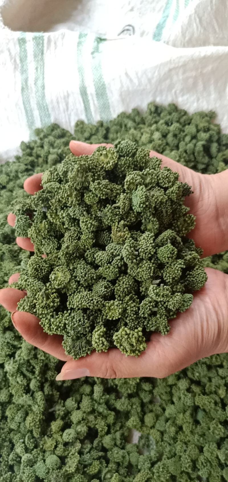 三七花