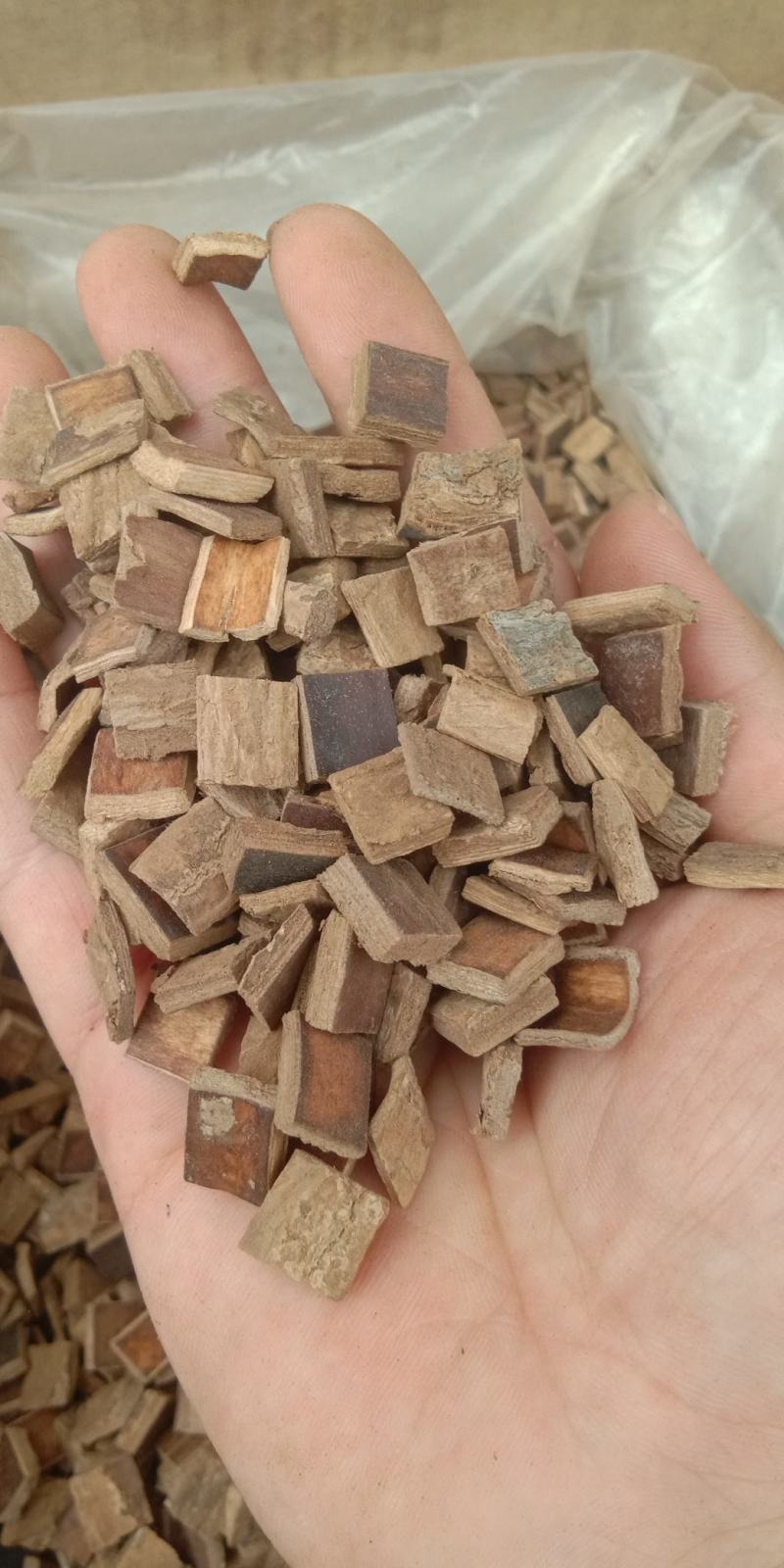 杜仲皮