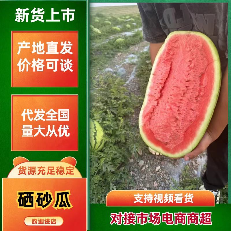 宁夏硒砂瓜，石头地里的。自产自销，提供接送服务。