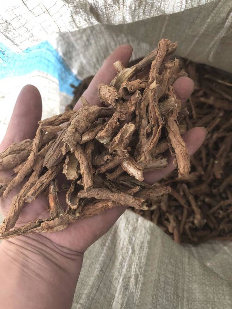 地骨皮
