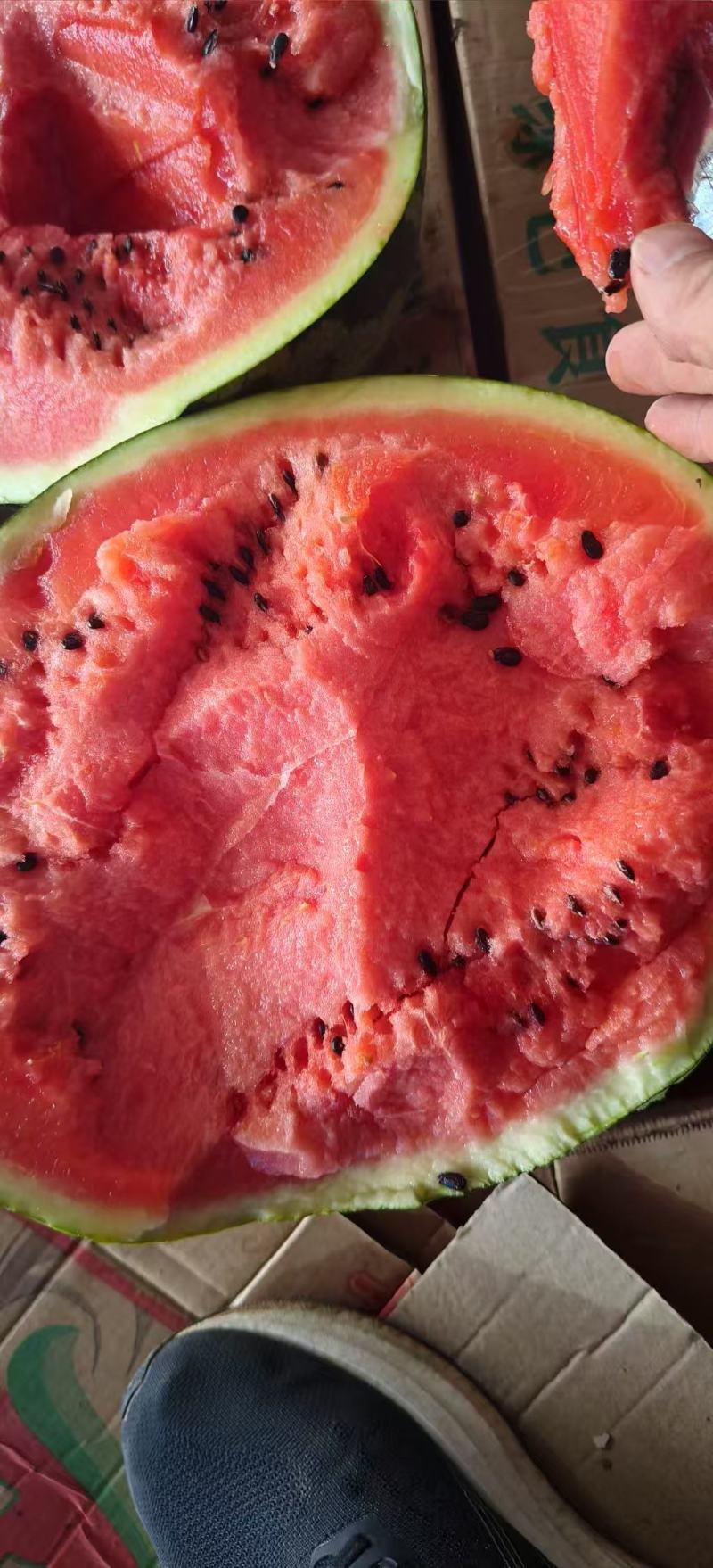 精品陕西甜王大量上市，包熟包甜！一手货源，产地直发保质量