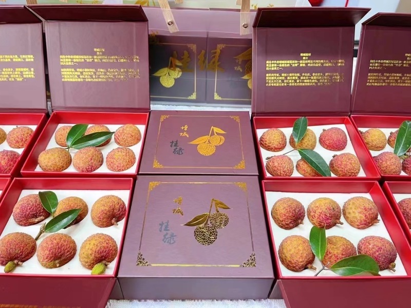 广东增城挂绿荔枝，一件代发支持电商商超，顺丰包邮到家