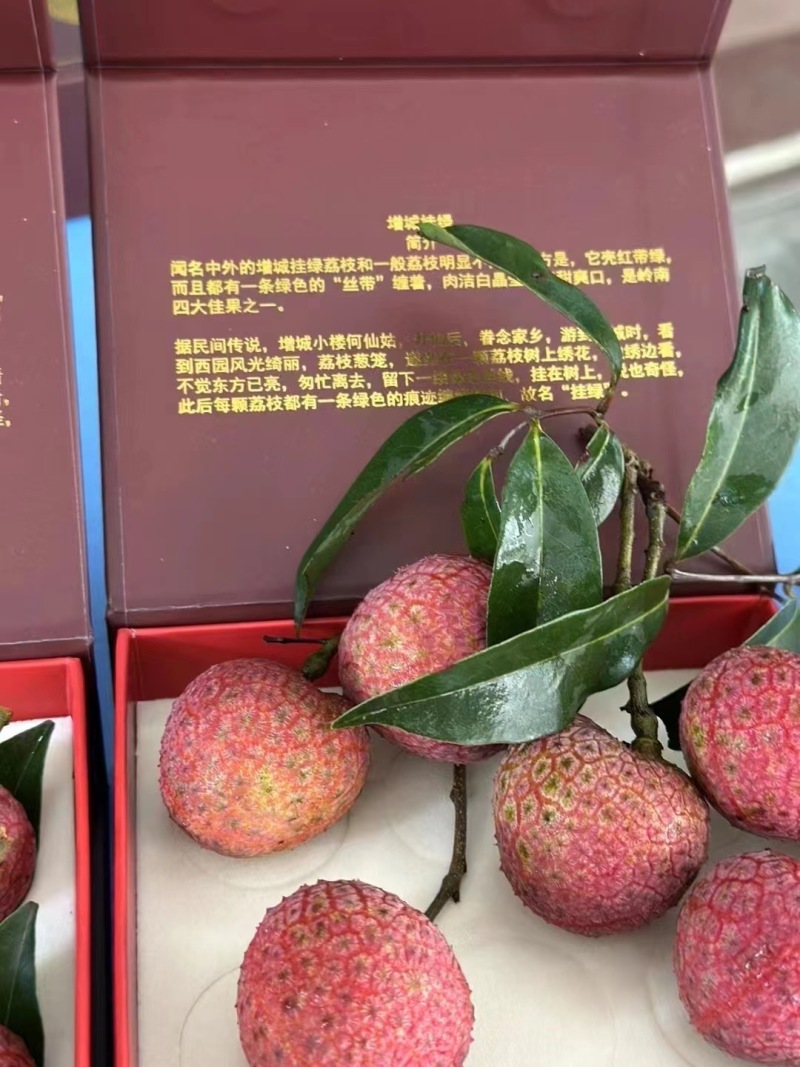 广东增城挂绿荔枝，一件代发支持电商商超，顺丰包邮到家