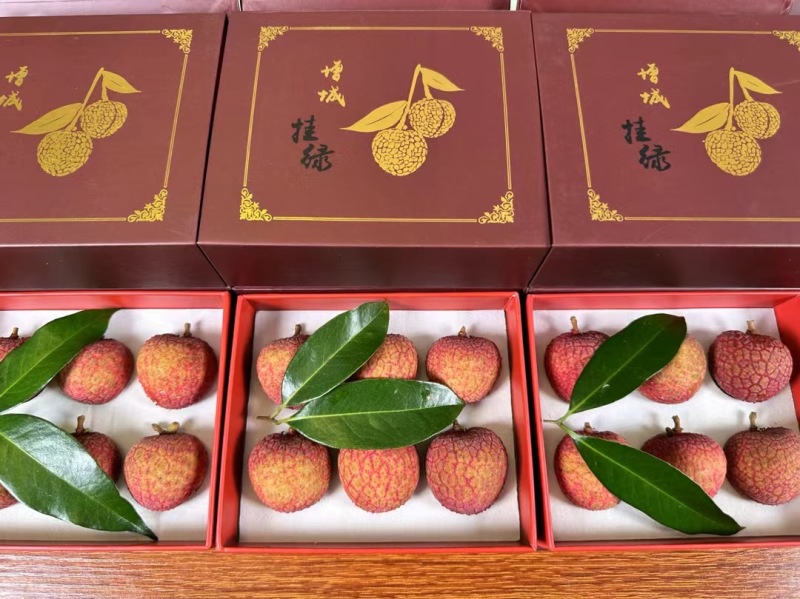 广东增城挂绿荔枝，一件代发支持电商商超，顺丰包邮到家