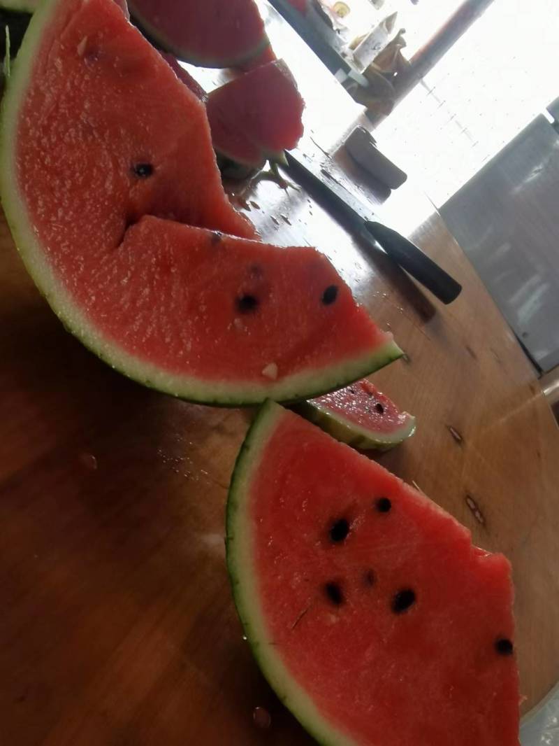 江苏美都西瓜大量上市整车发货精品货源