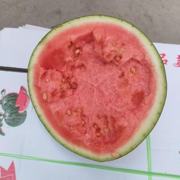 强者711西瓜货大从优精品好货电话联系