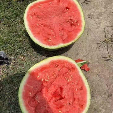 高次精品美都产地直发大量有货