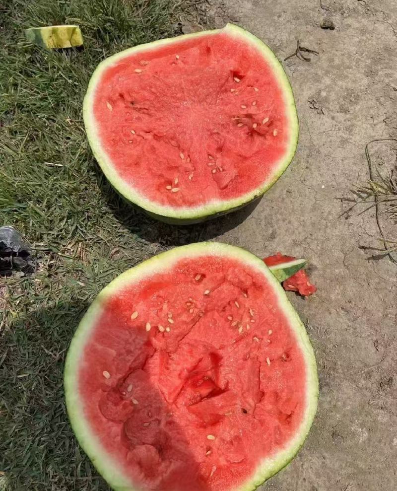高次精品美都产地直发大量有货