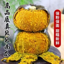 【粉糯香甜】贝贝南瓜小南瓜电商市场可对接各大平台量大