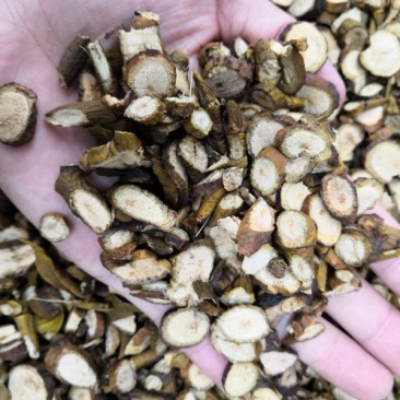 野生无硫枫寄生（螃蟹脚）茶。槲寄生，十足干货。量大价优