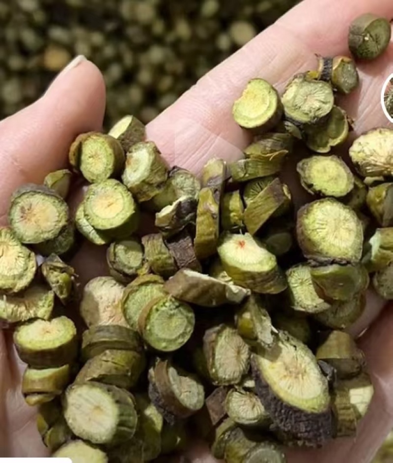野生无硫枫寄生（螃蟹脚）茶。槲寄生，十足干货。量大价优