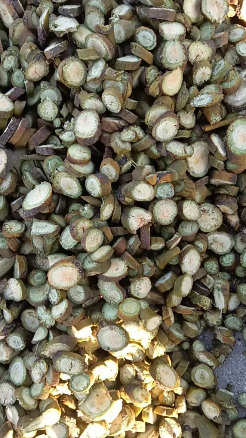 野生无硫枫寄生（螃蟹脚）茶。槲寄生，十足干货。量大价优
