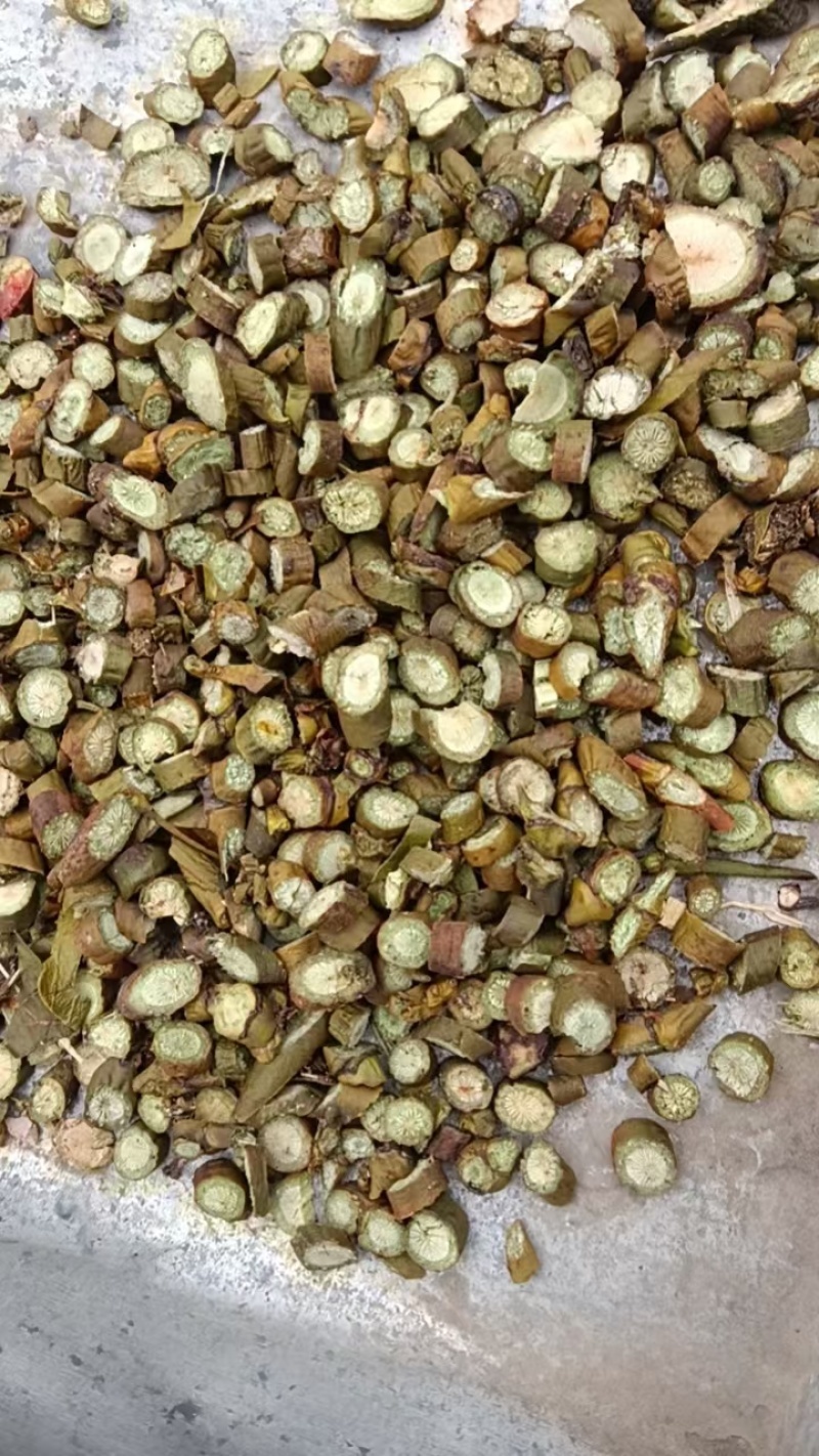 野生无硫枫寄生（螃蟹脚）茶。槲寄生，十足干货。量大价优