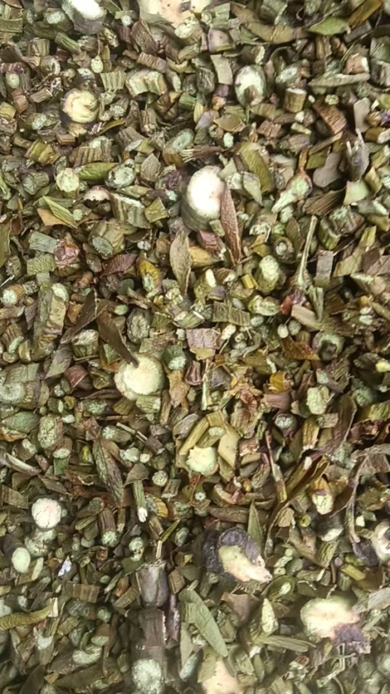 野生无硫枫寄生（螃蟹脚）茶。槲寄生，十足干货。量大价优