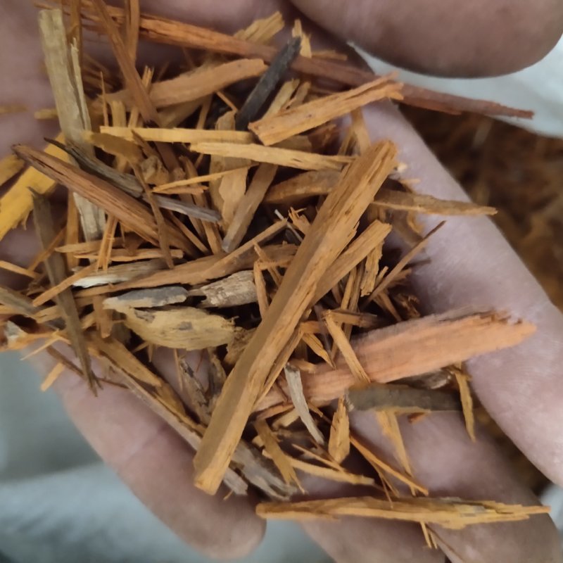 苏木批发苏木条苏木丝苏木块规格齐全可供大货量大价优