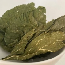 桑叶手掌大的叶片精品供应常年供货量大从优