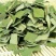 精选中药材新鲜无硫天然方片荷叶茶荷叶干荷叶片完整无碎