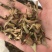 石苇，石韦无硫，一手货源，保质保量，本店批发各种中药材