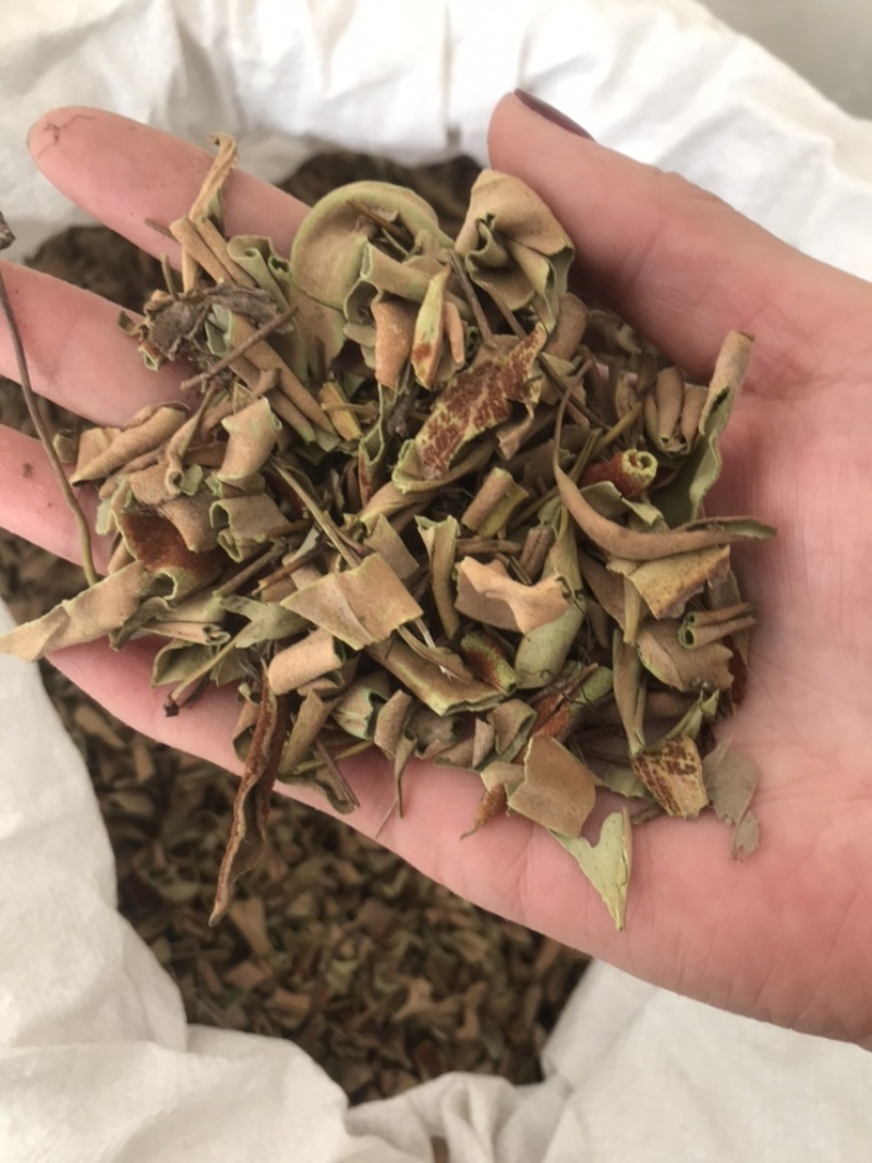 石苇，石韦无硫，一手货源，保质保量，本店批发各种中药材