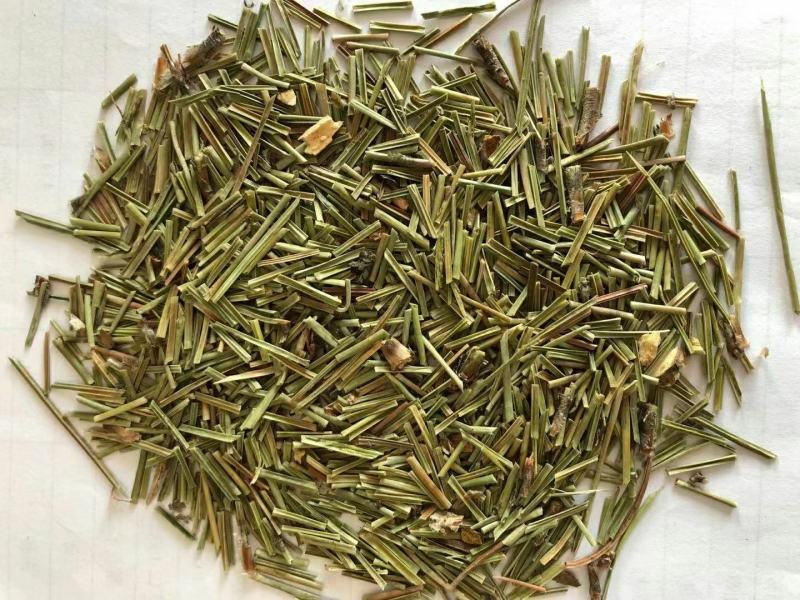 松针河北干货人工种植量大从优欢迎选购