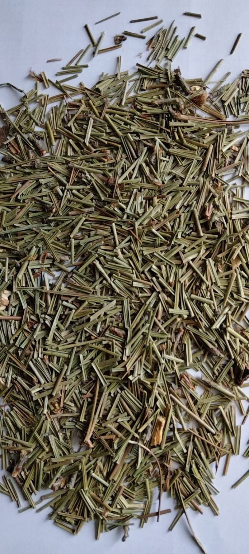 松针河北干货人工种植量大从优欢迎选购