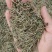 侧柏叶产地直供支持线上交易可搭配多品种采购大货供应