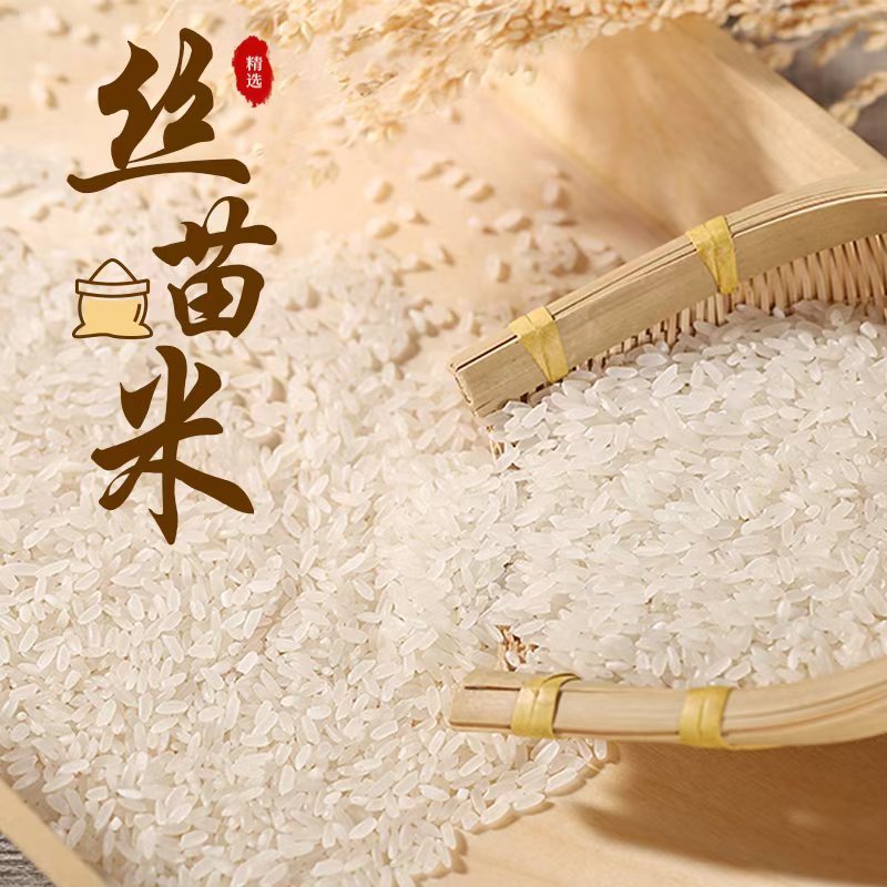 南稻皇一级丝苗米
