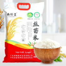 南稻皇（黄花占）5kg