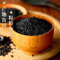 南稻皇红米5kg