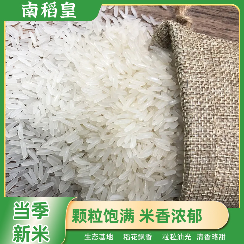 生态丝苗米10kg