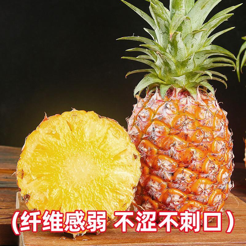 海南树熟金钻凤梨新鲜水果应季特产大果无眼包邮