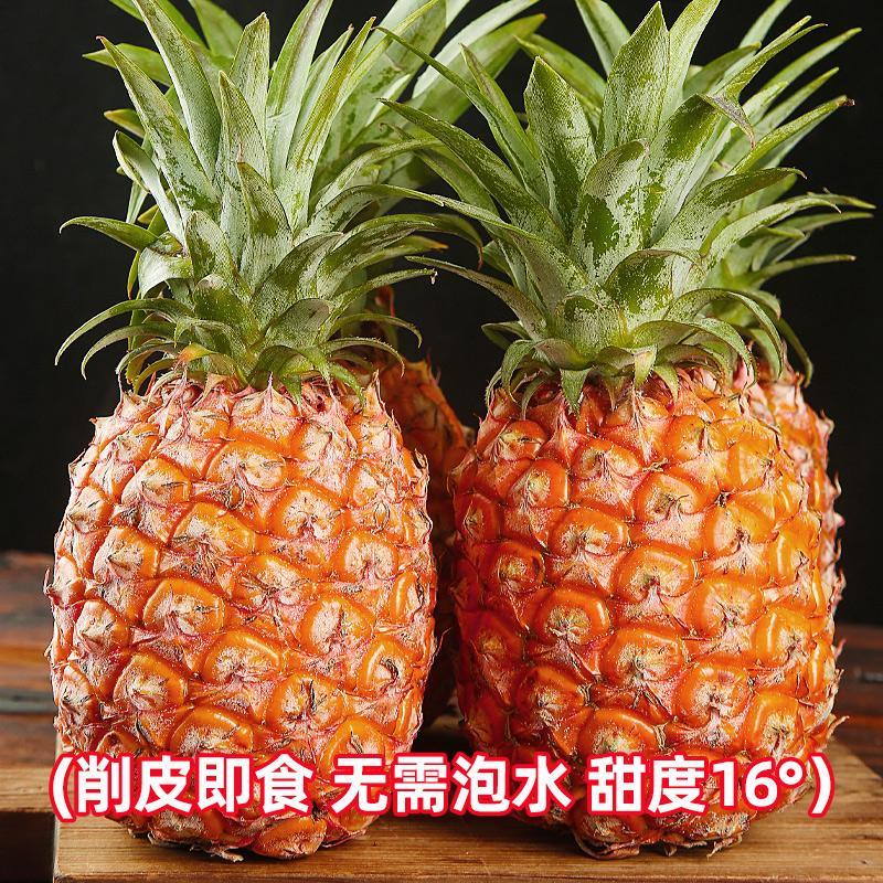 海南树熟金钻凤梨新鲜水果应季特产大果无眼包邮