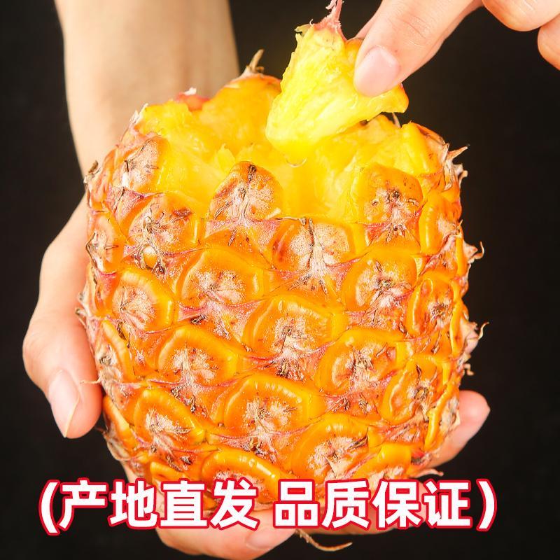 海南树熟金钻凤梨新鲜水果应季特产大果无眼包邮