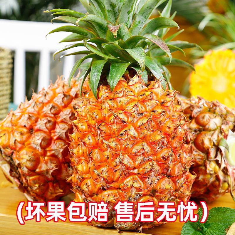 海南树熟金钻凤梨新鲜水果应季特产大果无眼包邮
