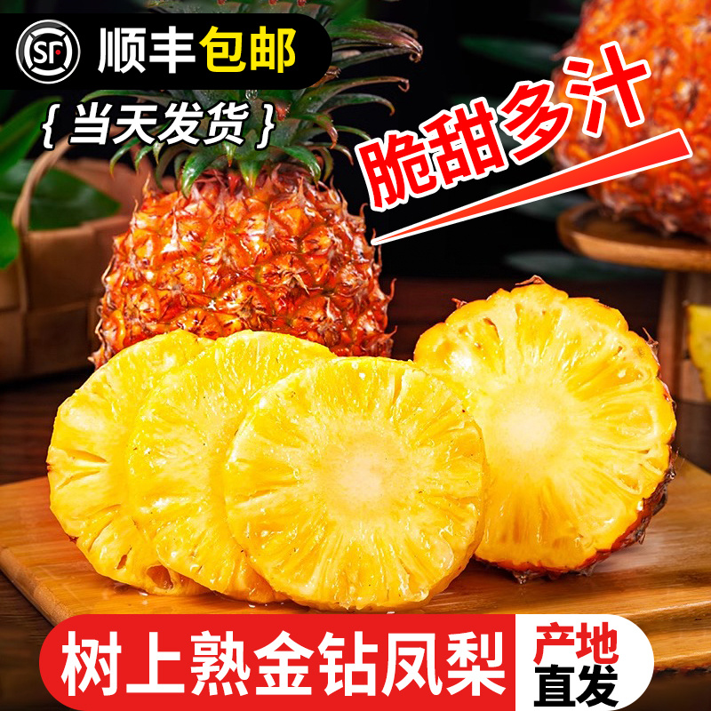 海南树熟金钻凤梨新鲜水果应季特产大果无眼包邮