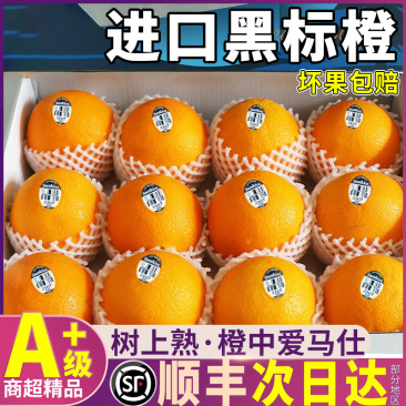 美国新奇士黑标橙新鲜水果包邮