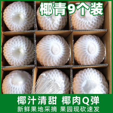 777牌椰青新鲜椰子9个装整箱包