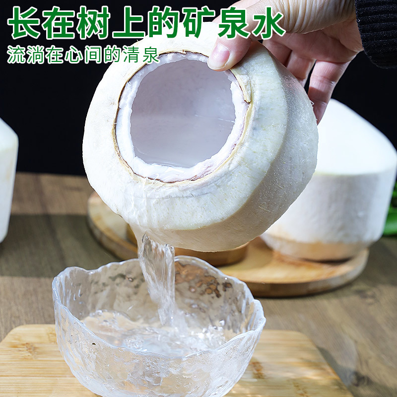 777牌椰青新鲜椰子9个装整箱包