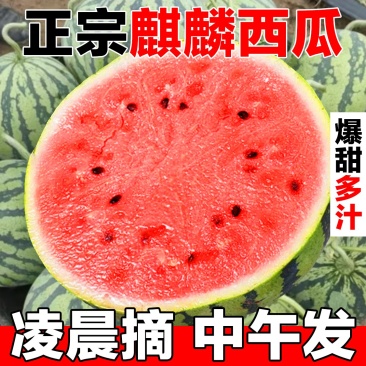 正宗麒麟西瓜当季新鲜水果现摘薄皮脆甜多汁包邮