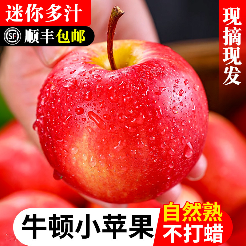 10个南非进口牛顿小苹果