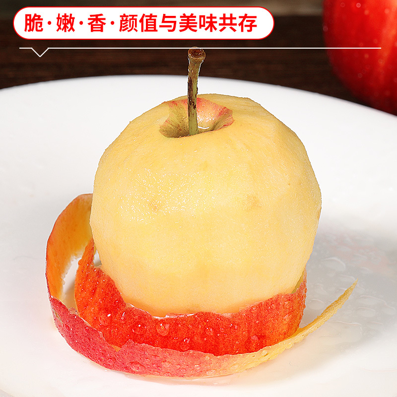 10个南非进口牛顿小苹果