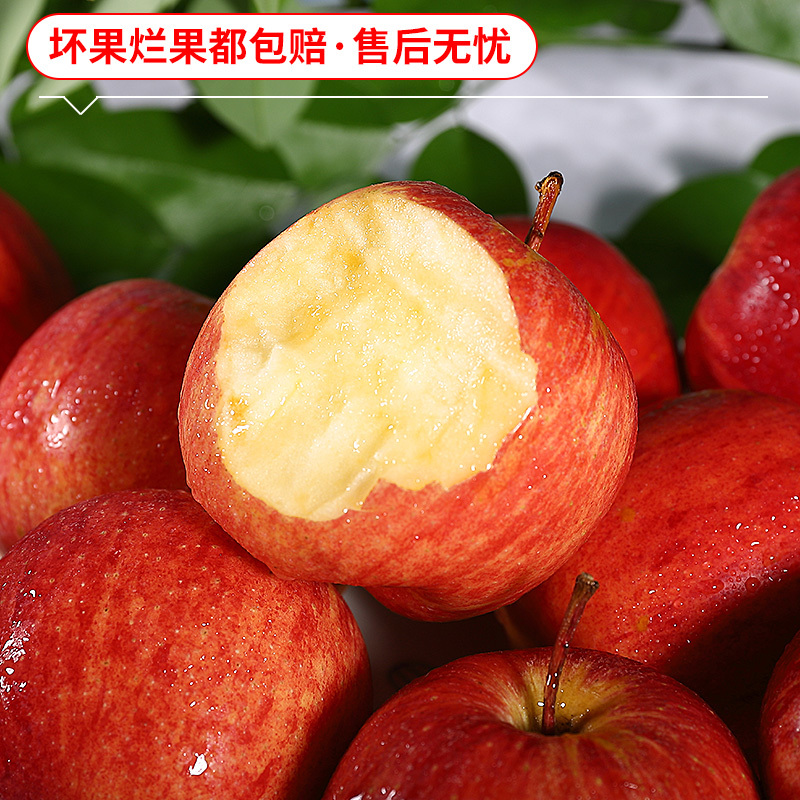 10个南非进口牛顿小苹果